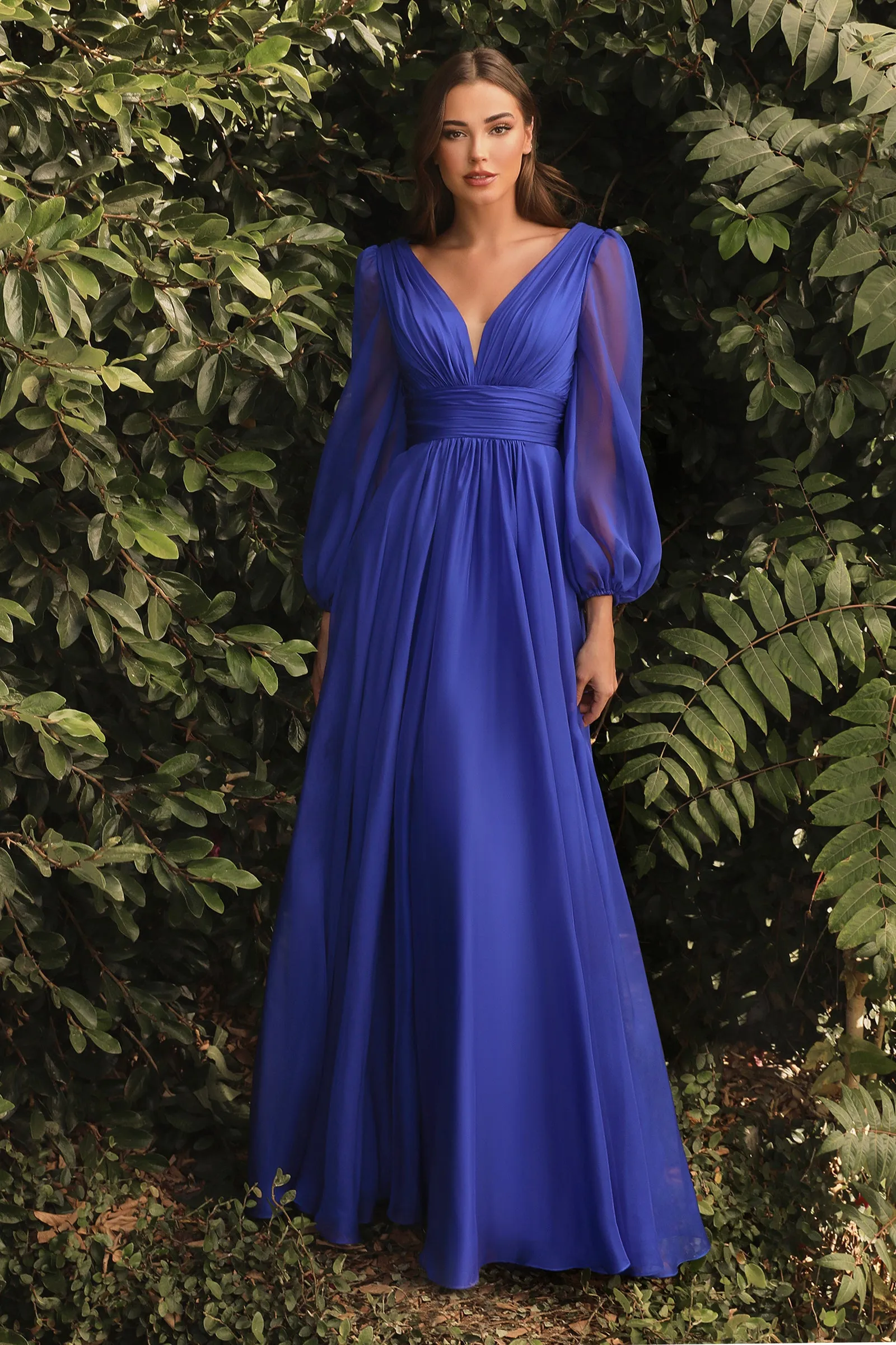 CINDERELLA DIVINE CD0192 Long Sleeve Chiffon Gown